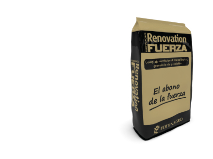 Renovation Fuerza